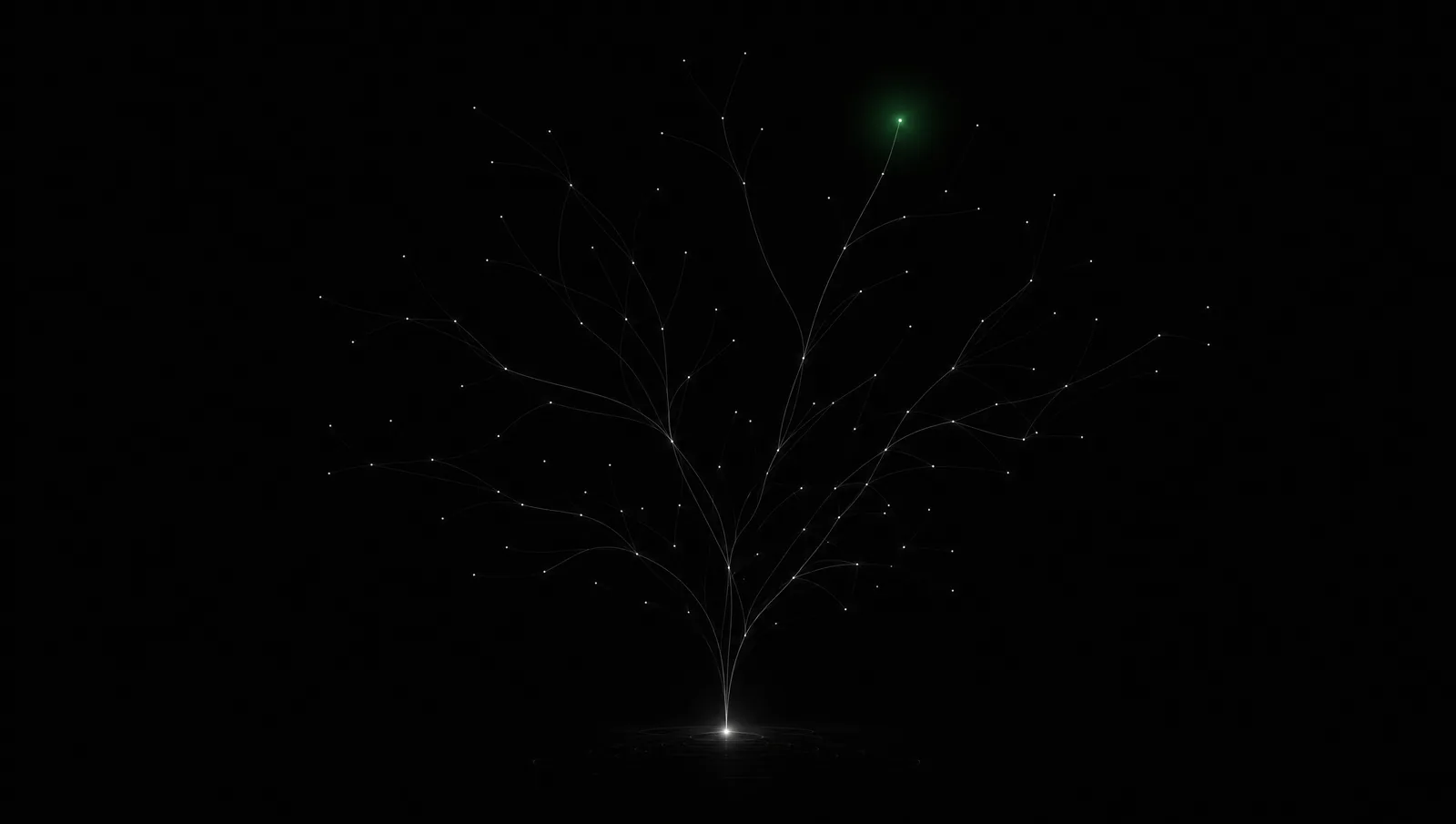 A branching network of skills growing upward from a single root, one branch tip glowing